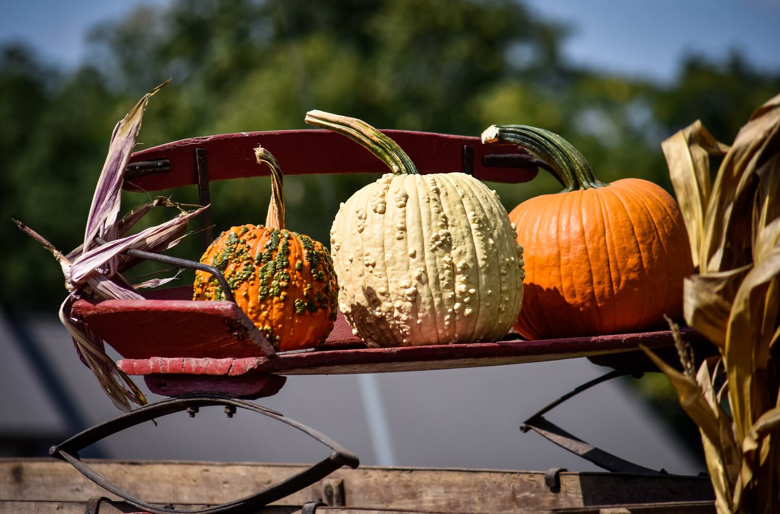 Fall colors October 2020