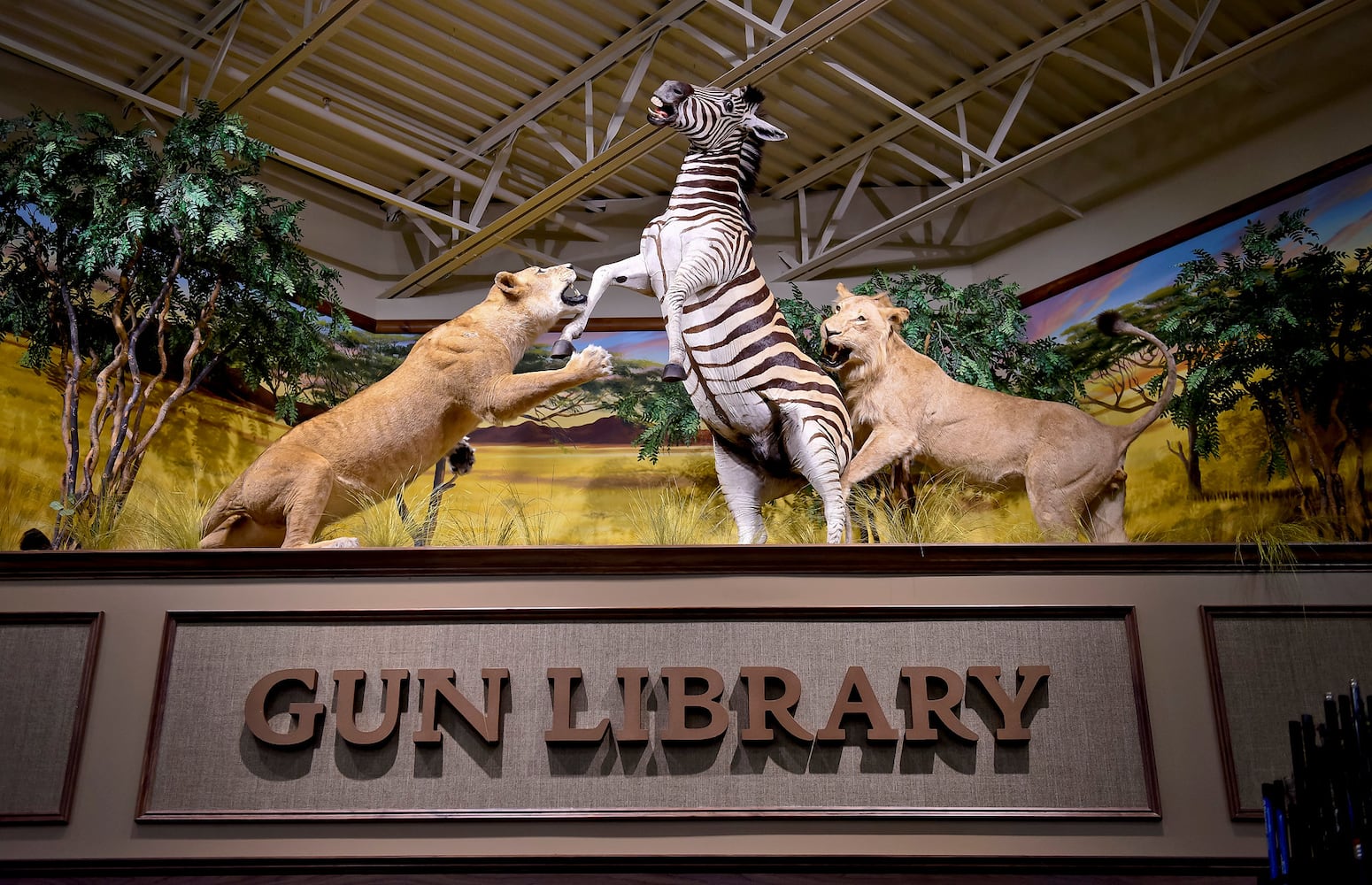 Cabelas tour