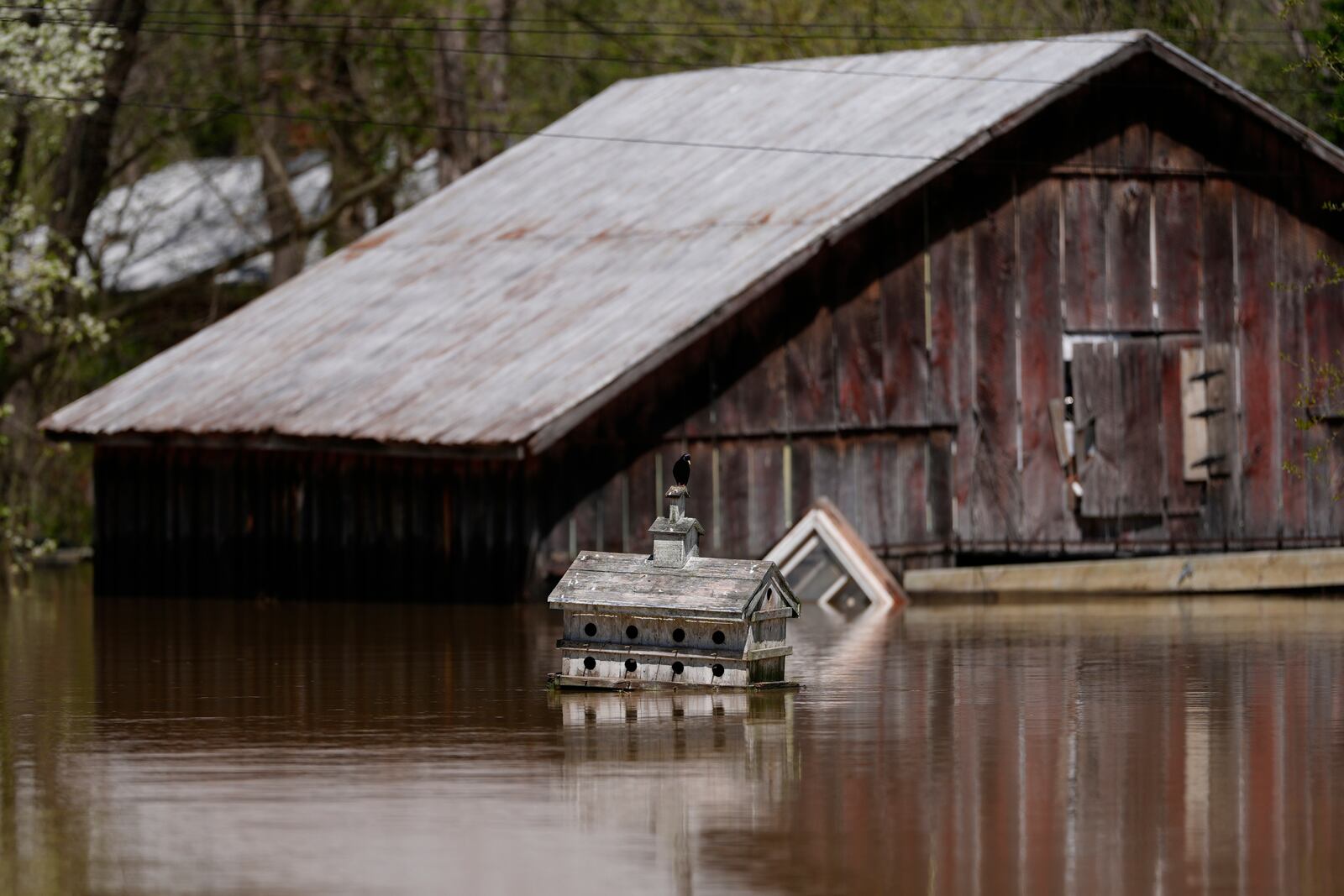 A bird sits atop a bird house in Lockport, Ky., flooded by the Kentucky River, Tuesday, April 8, 2025. (AP Photo/Carolyn Kaster)