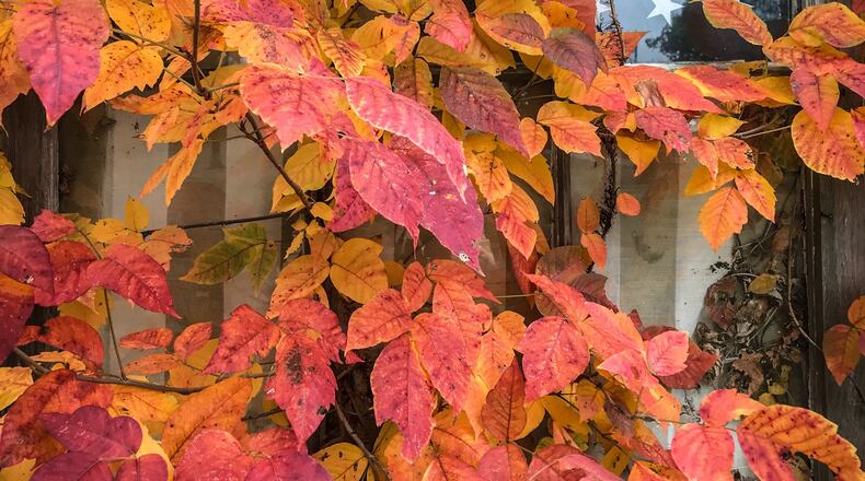 A warm weekend and week may bring our first frost of the season this coming weekend.