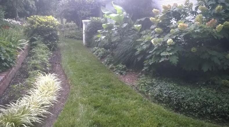 A landscape manager at Scarff’s Nursery in New Carlisle worked with the homeowner on this garden for decades. CONTRIBUTED