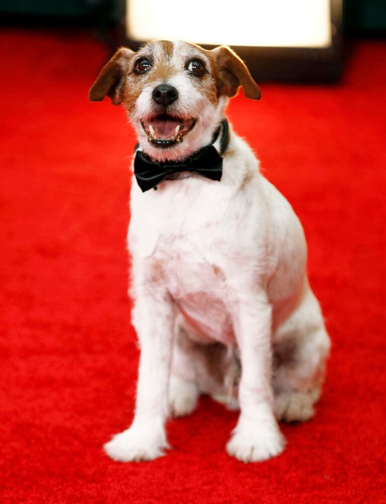 News hounds (8/13/15)