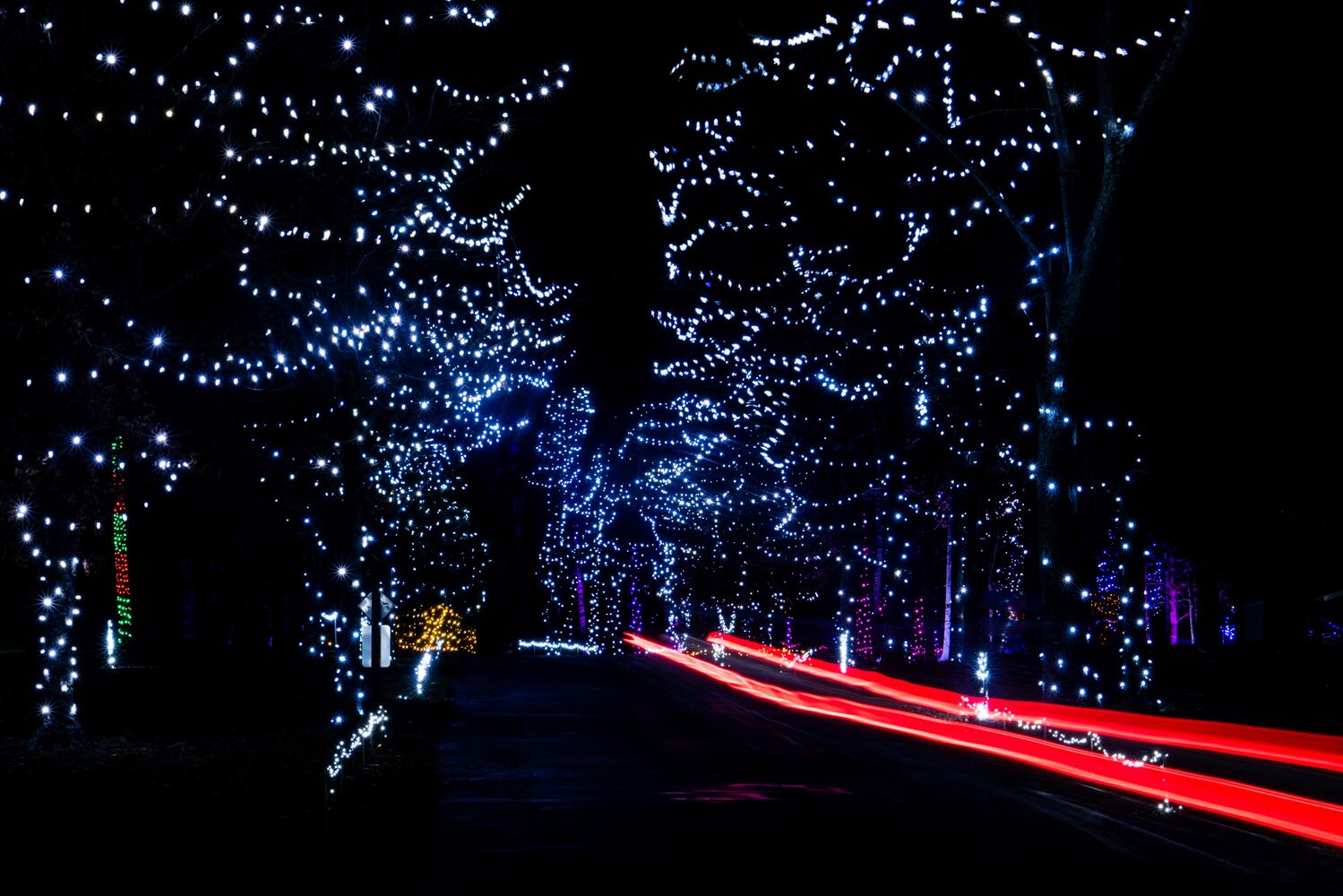 111920 Journey Borealis at Pyramid Hill drive-thru holiday light display