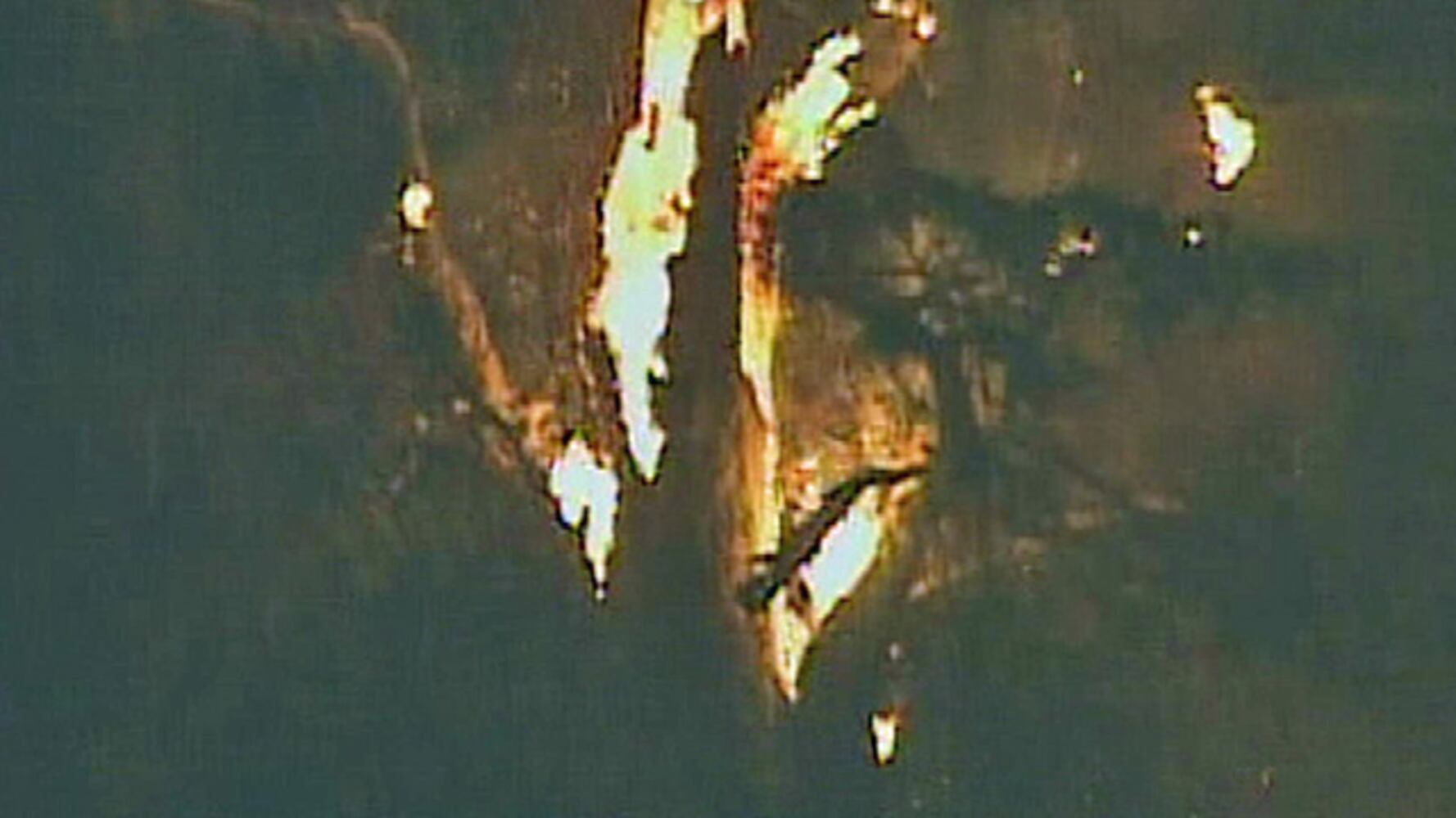 Senator tree on fire