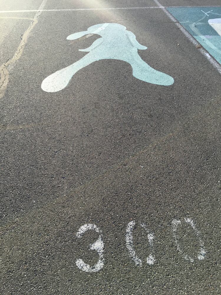 Lakota West senior parking spaces
