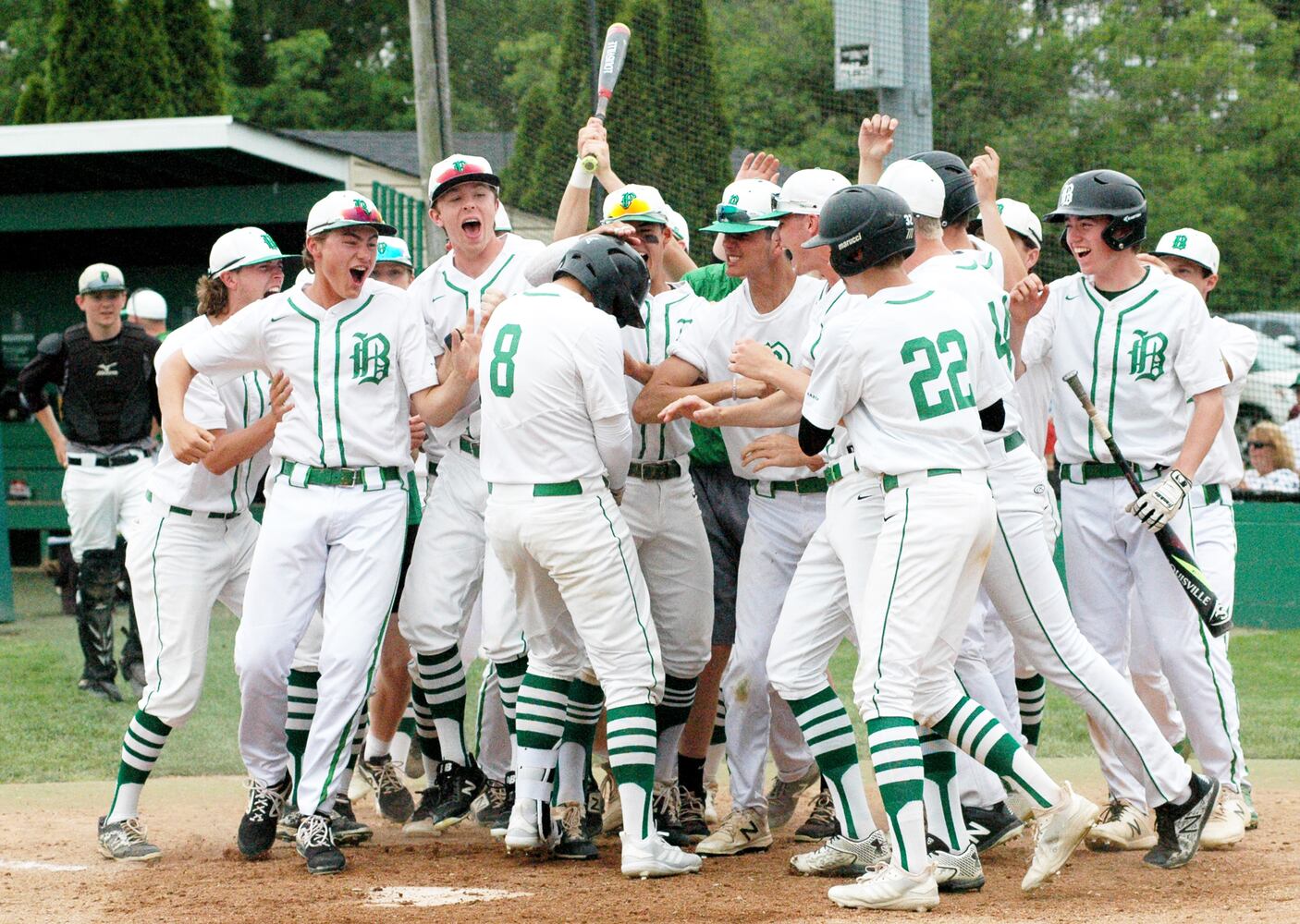 PHOTOS: Badin Vs. Oak Hills Division I Sectional High School Baseball