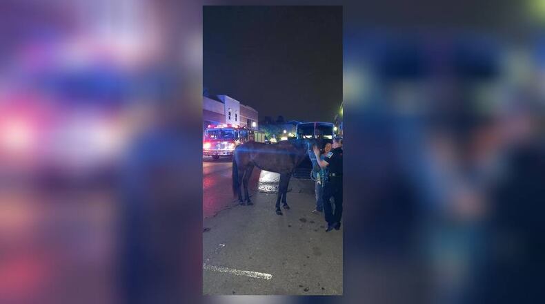 A horse trailer flipped in Middletown on Friday, July 20, 2018, and officers helped horse Utah. MIDDLETOWN POLICE FACEBOOK PAGE