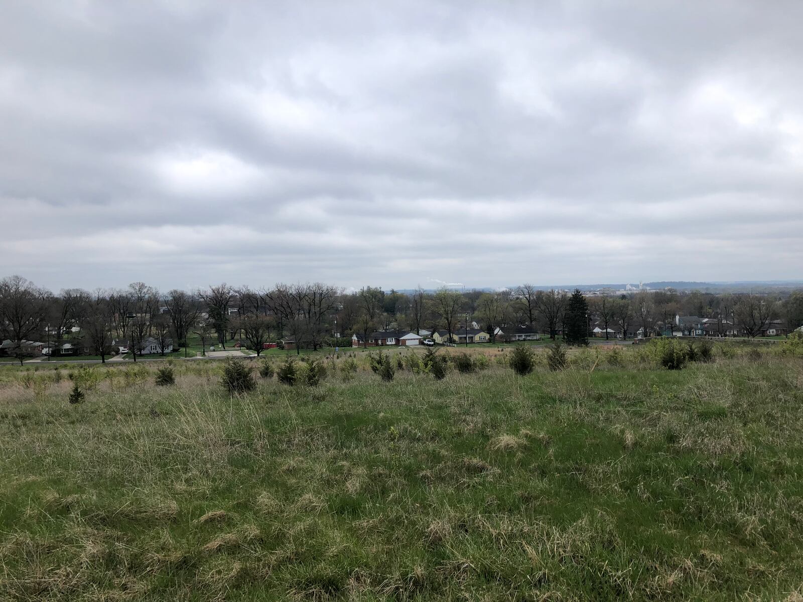 These 16 acres, located behind the former Middletown Regional Hospital, may be home to 50 homes in a housing development if City Council approves plans. RICK McCFABB/STAFF