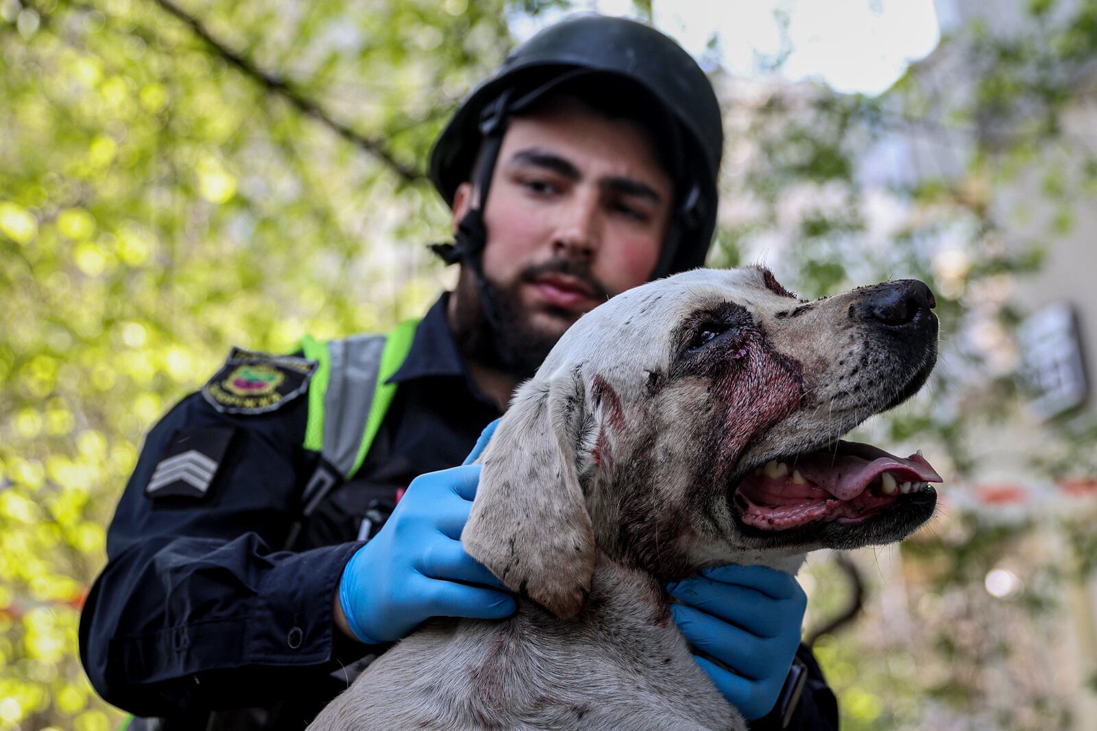 A police officer calms an injured dog near a multi-storey building damaged by a Russian strike on residential neighbourhood in Zaporizhzhia, Ukraine, on Tuesday, April 22, 2025. (AP Photo/Kateryna Klochko)