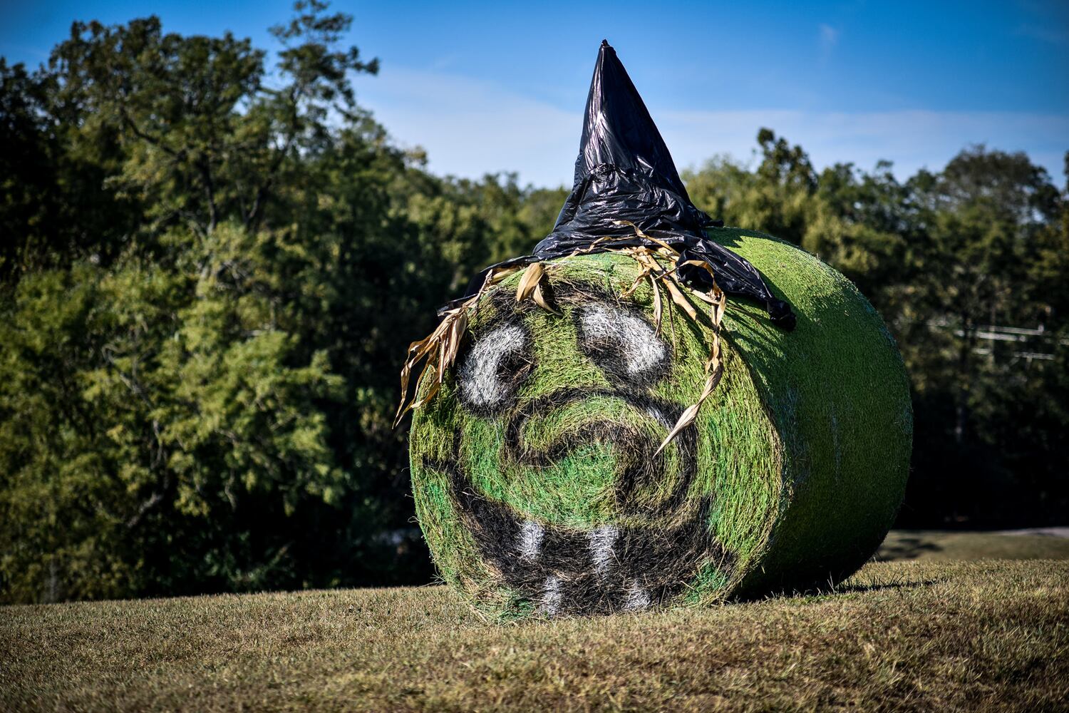 Jackson Family Farm offers visitors a chance to learn about farm life