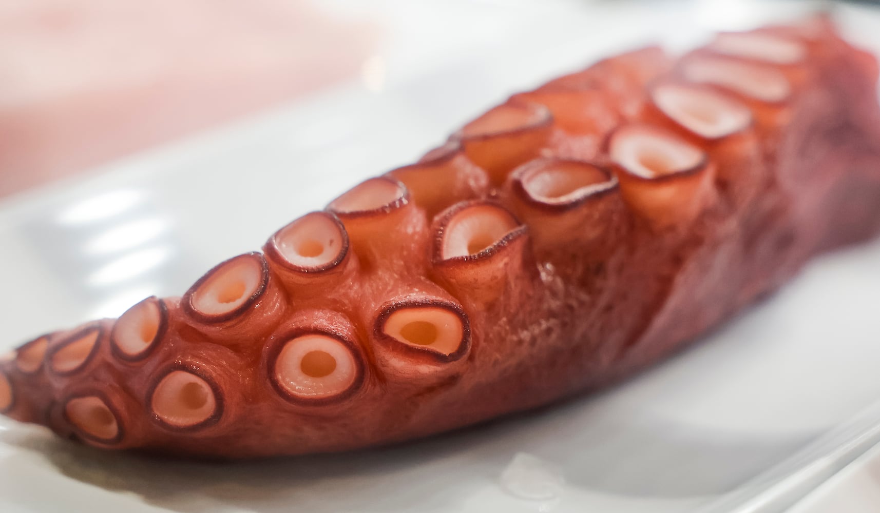 042825 Megumi Sushi