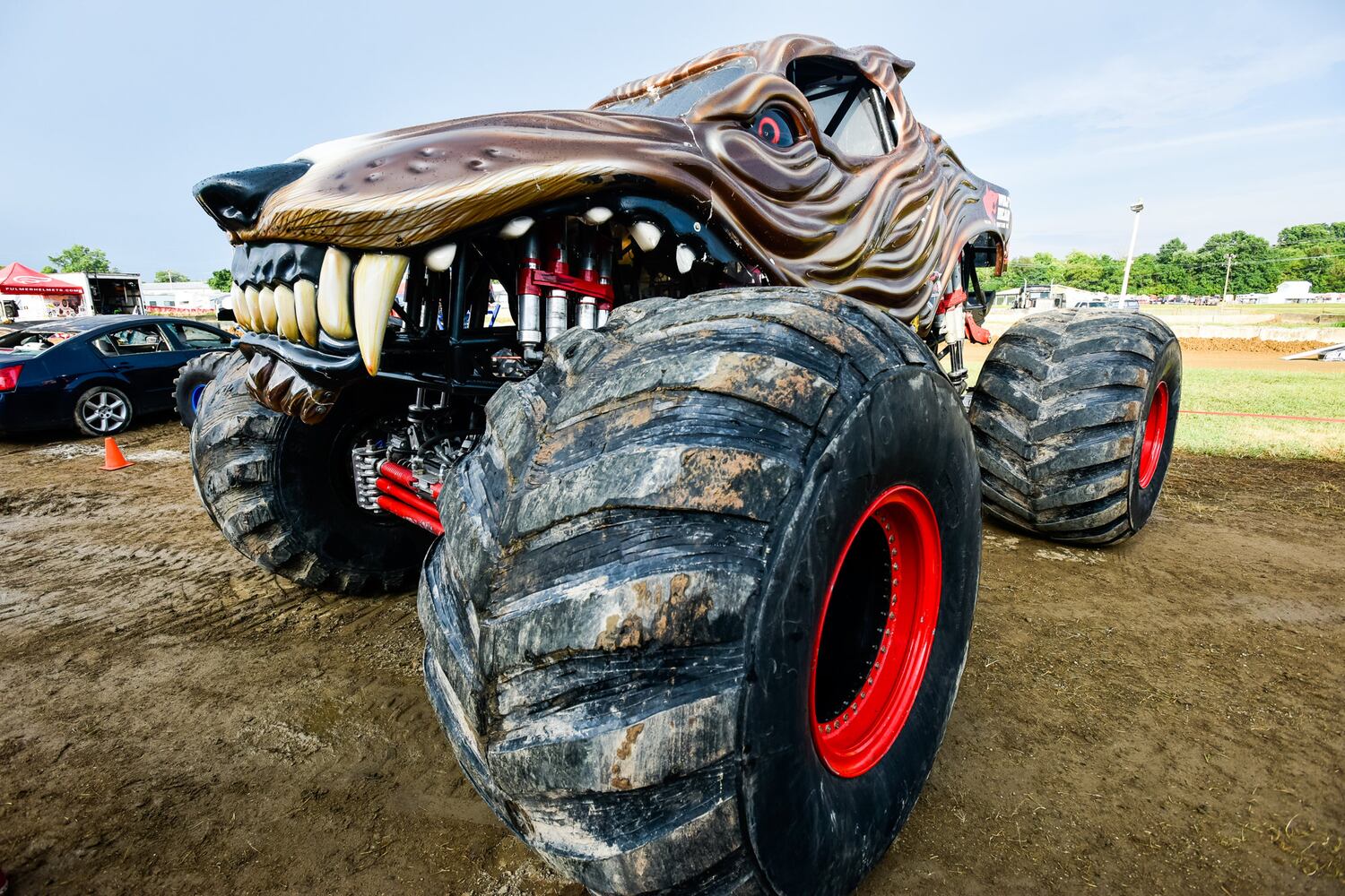 Scenes from the Butler County Fair 2019