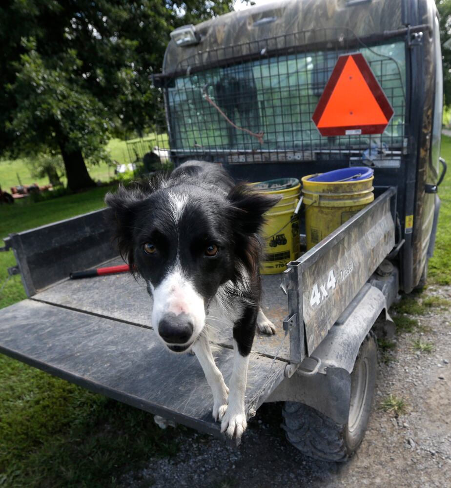News hounds (9/3/15)