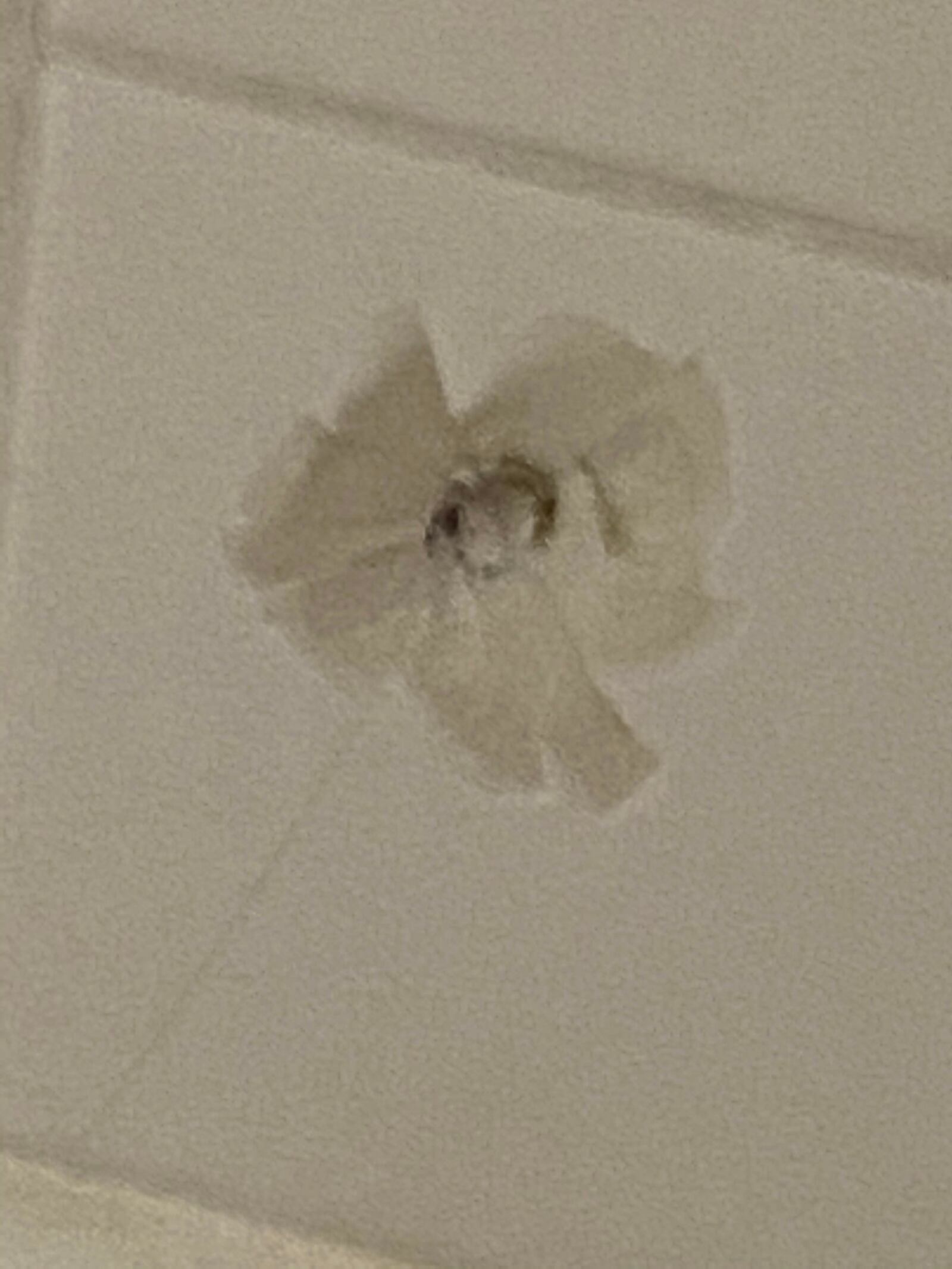 A bullet was found in a Madison Twp. bathroom after it entered through a wall on the second floor, then through a tile in the shower, crossed over a bathtub, hit the ceiling and landed on the floor. SUBMITTED PHOTO