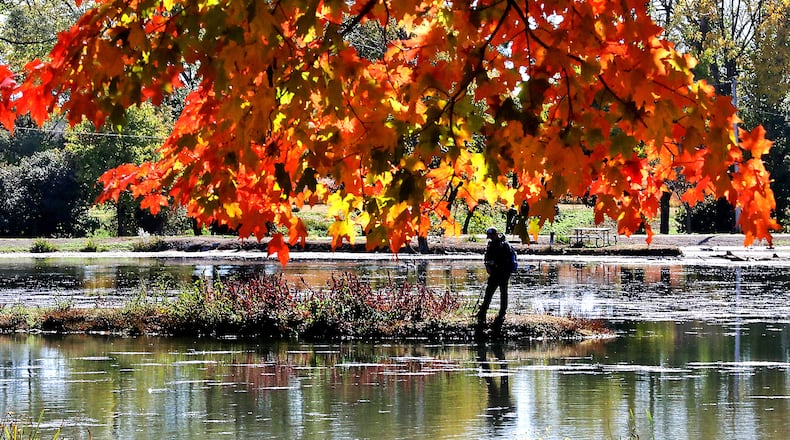 The fall leaves, backlit by the afternoon sun, glow red and yellow while a man in the background tries the fishing at Old Reid Park Tuesday. BILL LACKEY/STAFF