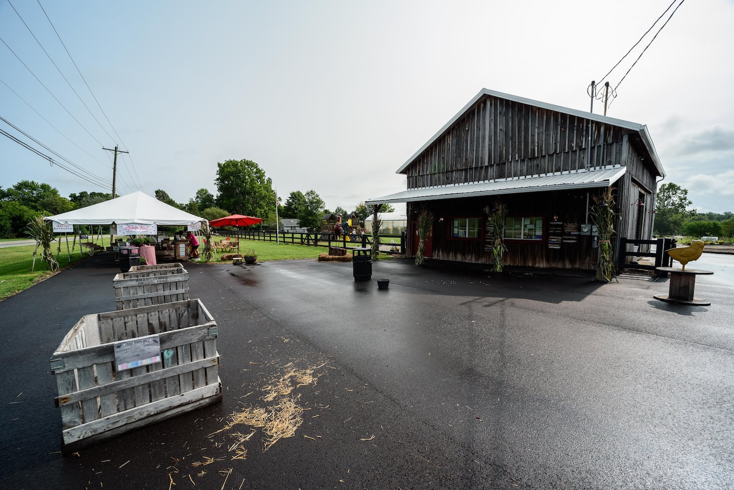 Hidden Valley Orchards