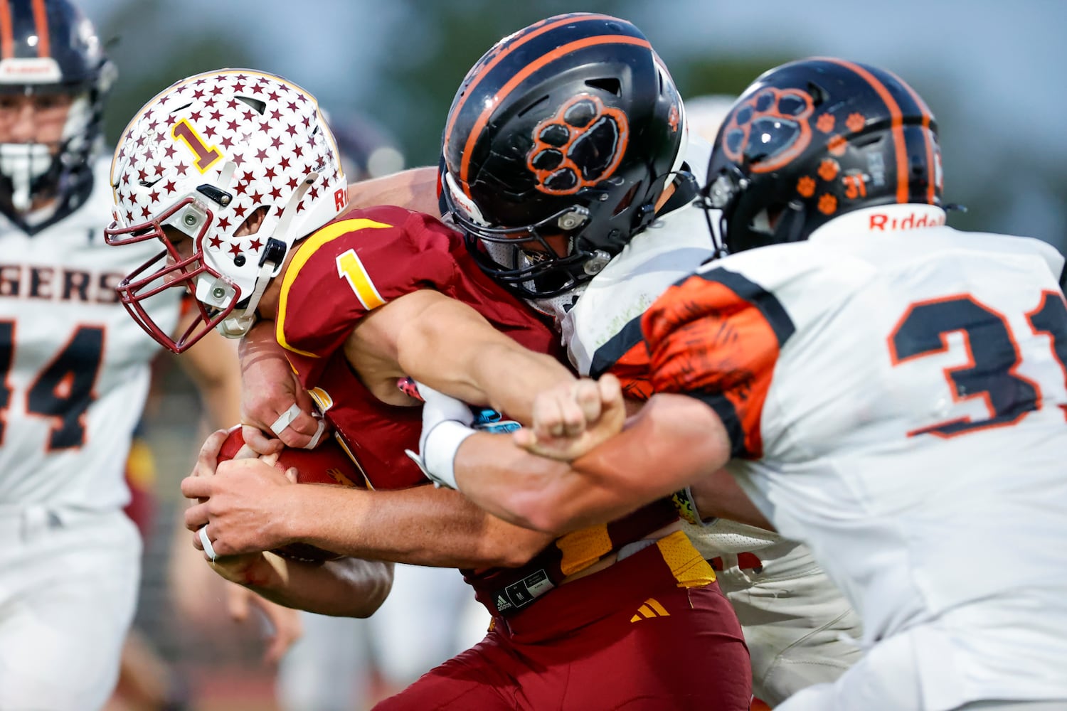 ne wls hsfb