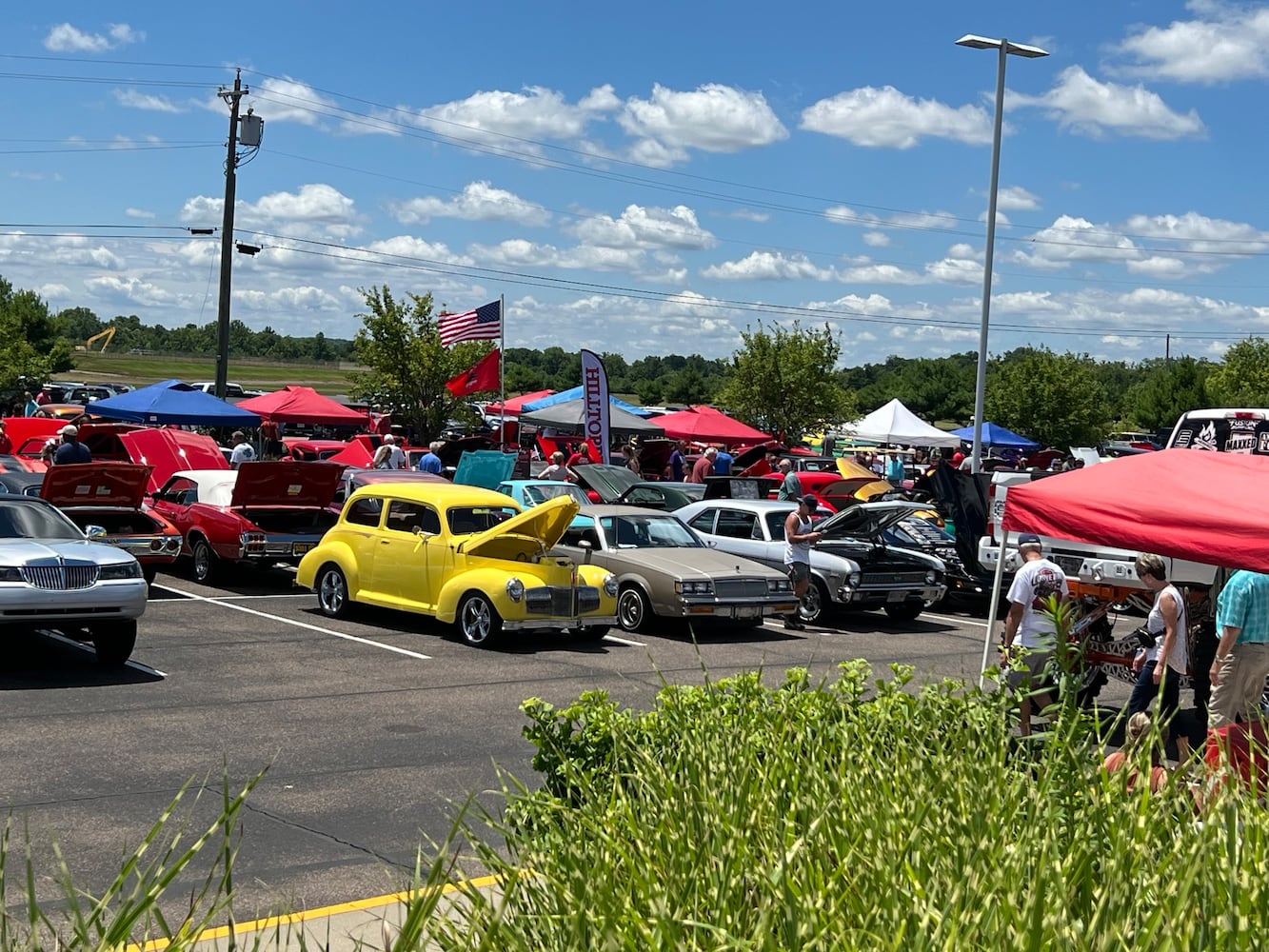 Cruise in