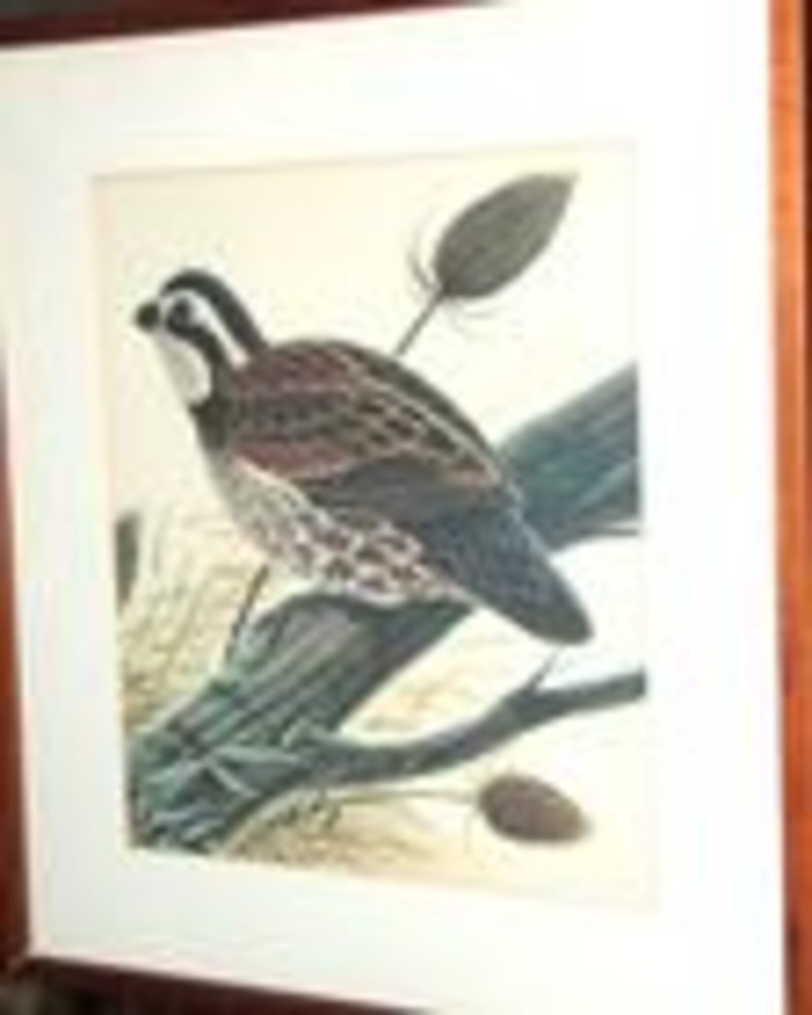 Items that belonged to the estate of Esther Benzing will be auctioned Saturday on her farm in Fairfield. Auctioneer Mark Mallette called the auction 'dynamite' because of the amount of quality items, including this John Ruthven print. SUBMITTED PHOTO
