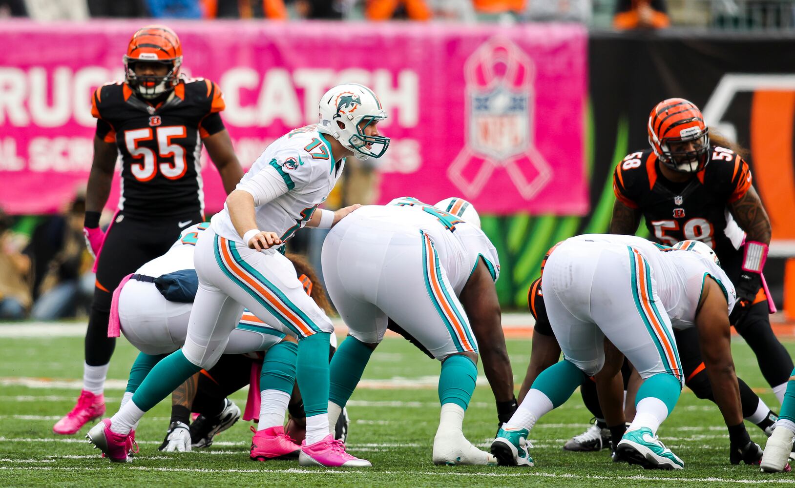 Bengals vs. Dolphins
