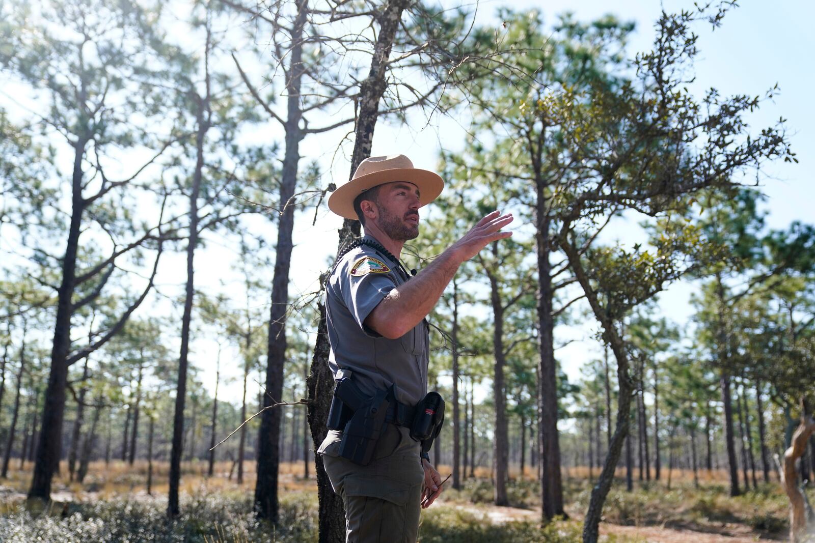 Park ranger Jesse Anderson speaks during a weekly carnivorous plant hike Saturday, March 22, 2025, in Carolina Beach, N.C. (AP Photo/Erik Verduzco)