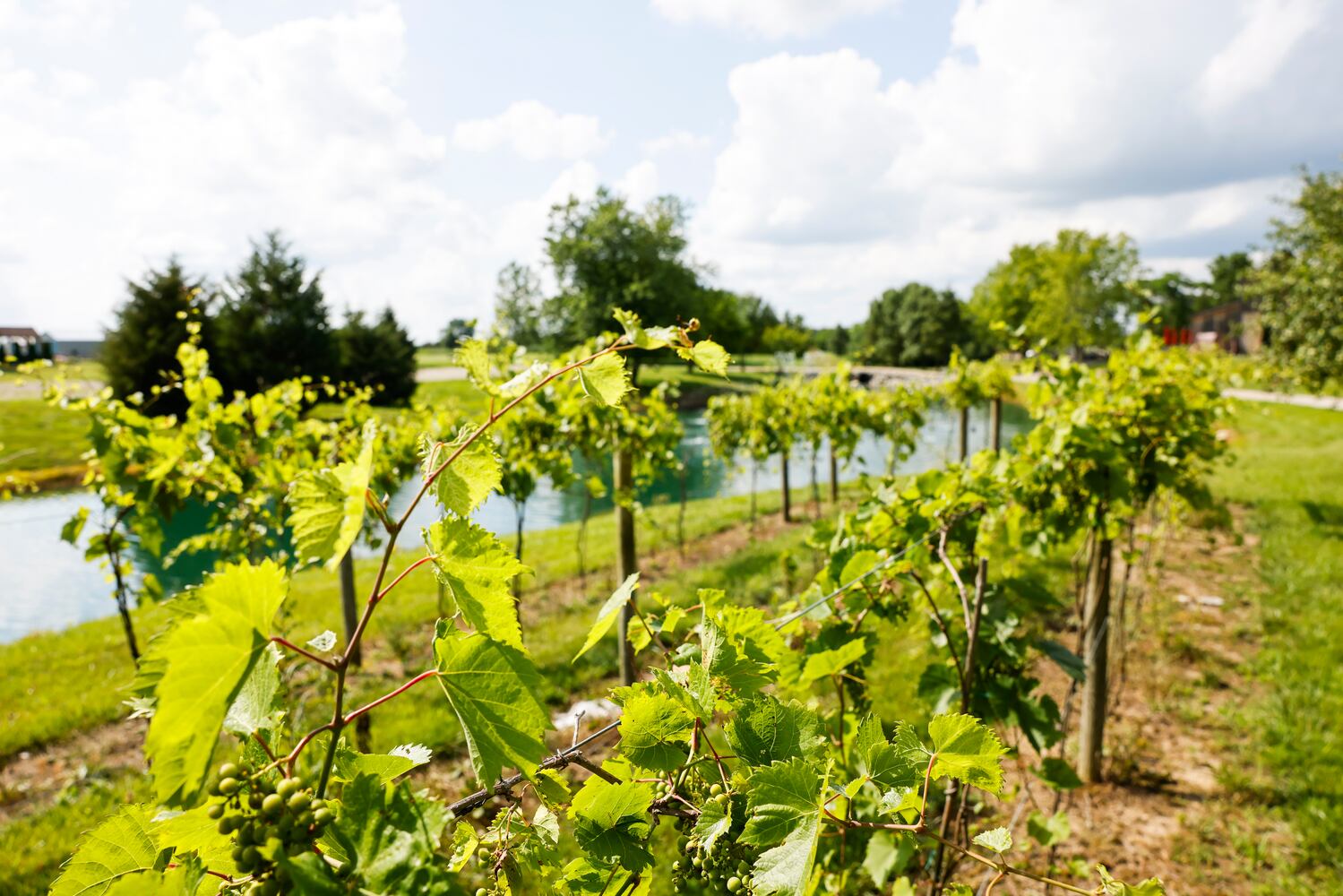 070623 seven mile winery