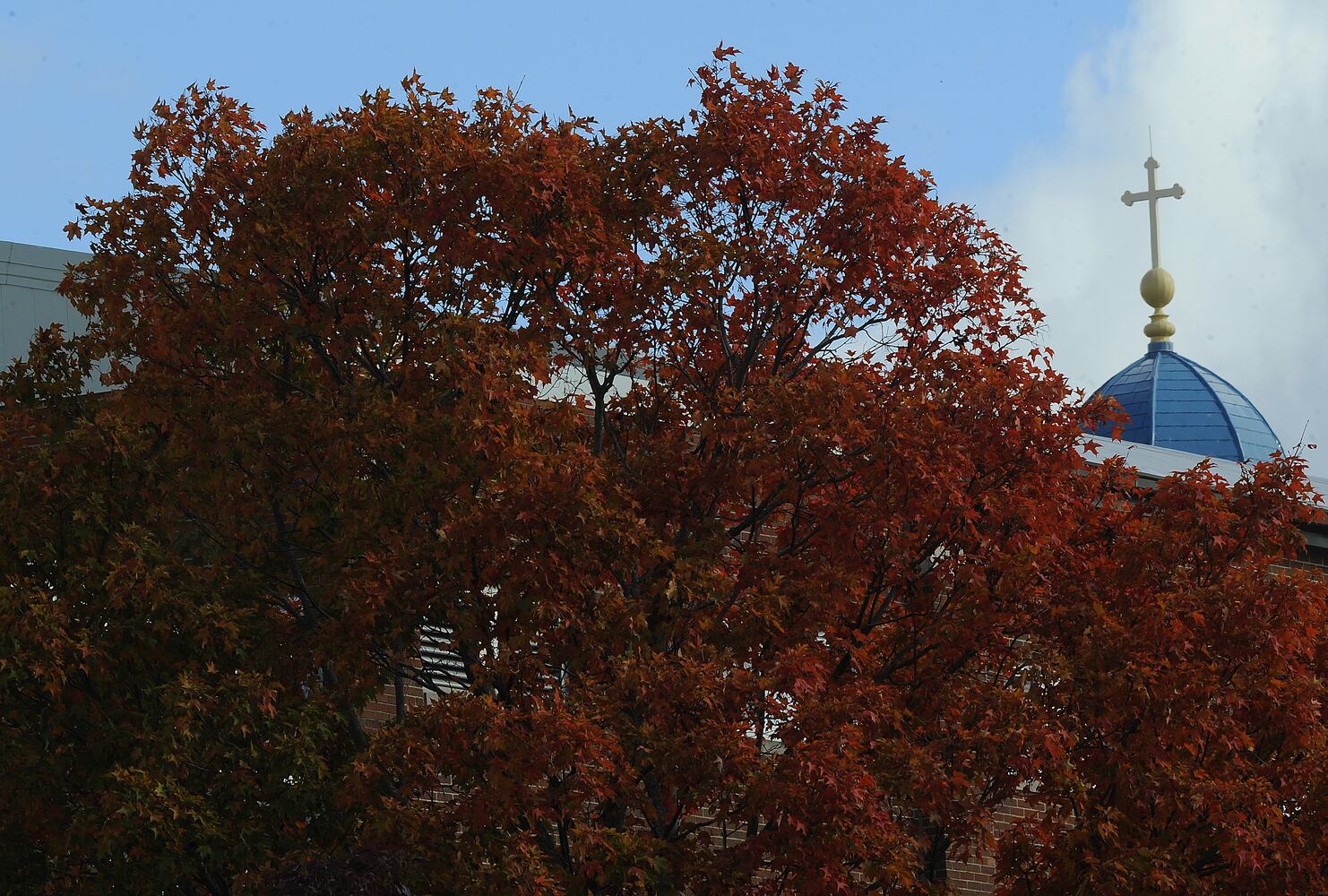 FALL COLORS