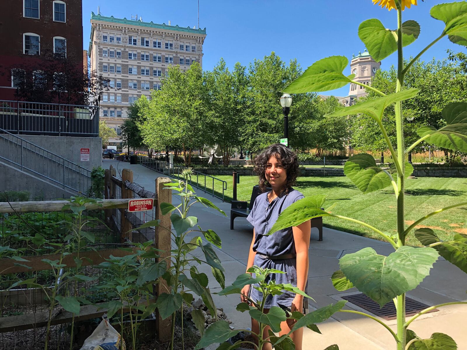 Laurana Wong, a Hamilton artist, works on a garden she and others have created near the Artspace Lofts in the downtown area. MIKE RUTLEDGE/STAFF