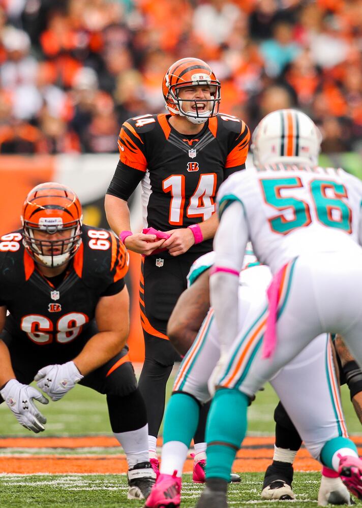 Bengals vs. Dolphins
