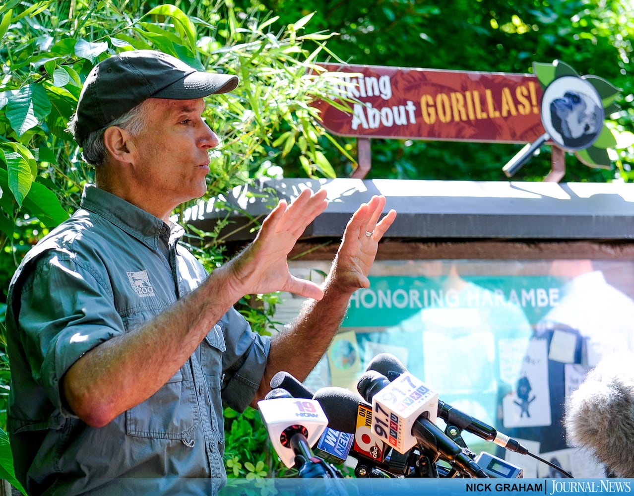 Gorilla Exhibit re-opens