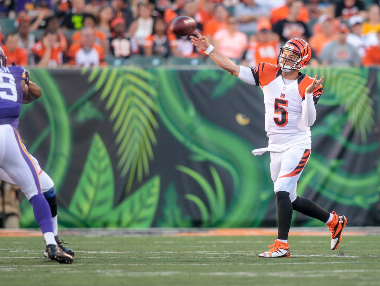 Bengals vs Vikings Pre-season Game