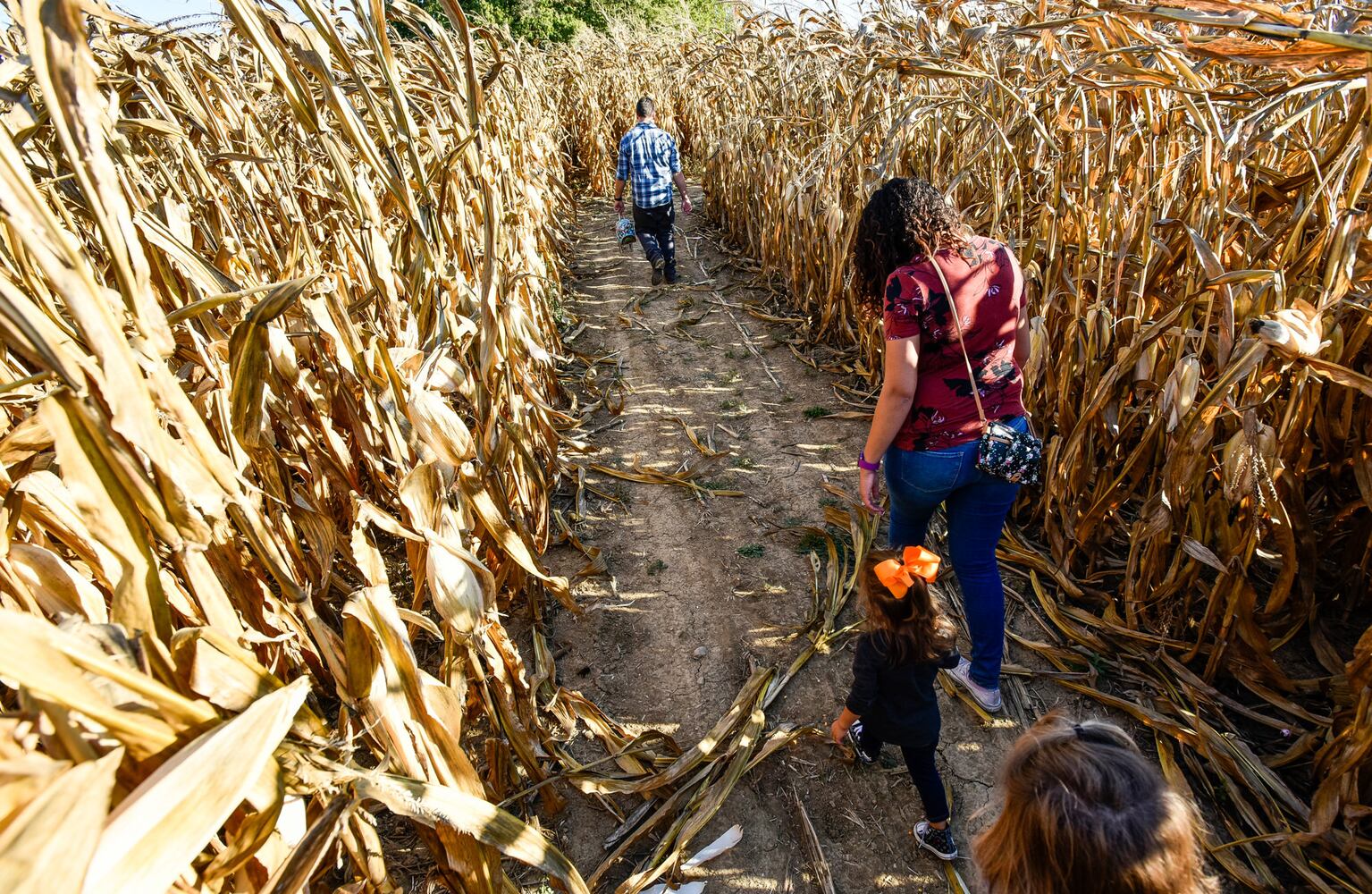 Jackson Family Farm offers visitors a chance to learn about farm life