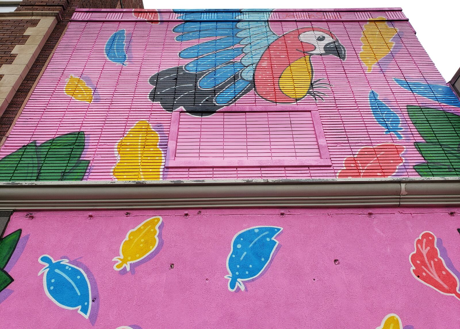 Muralist Joshua Stout recently completed a large, colorful parrot mural on the front of the building at 1044 Central Ave. Kevin Kimener, owner of MLH Developers, bought the building two years ago and plans to renovate the second floor into two, two-bedroom apartments and convert the first floor into retail space. NICK GRAHAM/STAFF