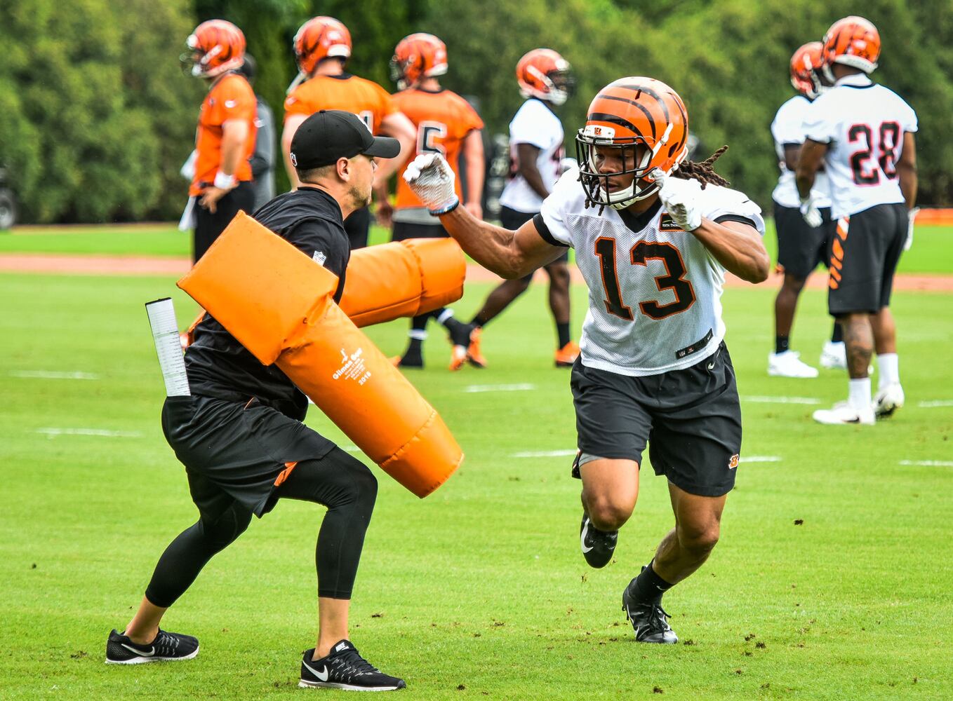 Cincinnati Bengals OTA