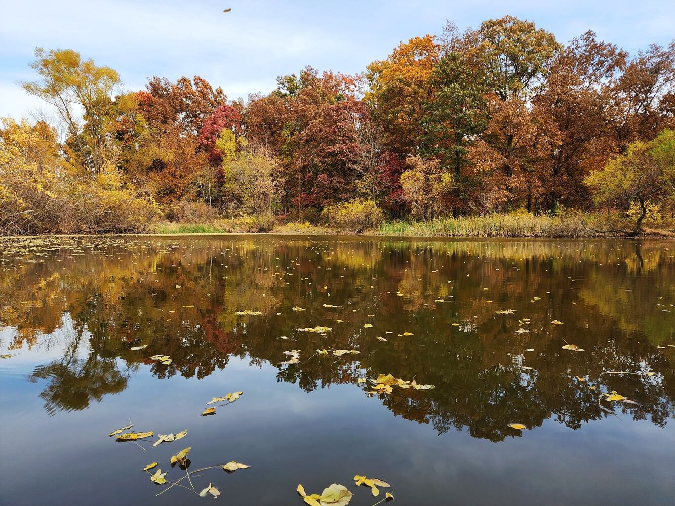 102622 fall colors Butler County