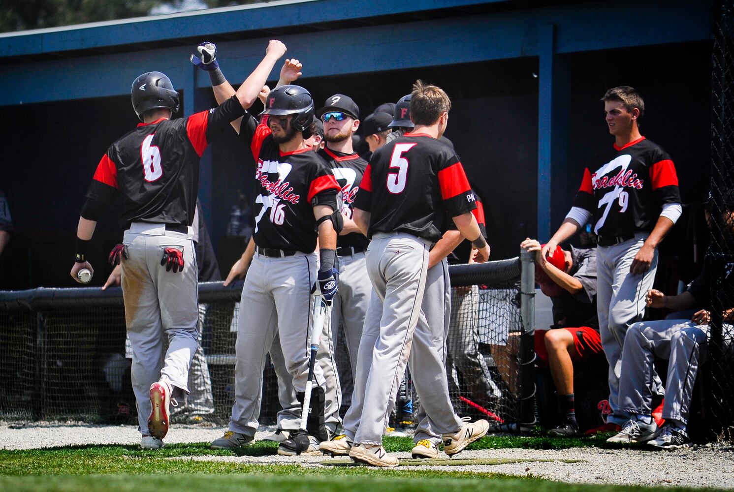 Franklin beats Fenwick in D2 district baseball final
