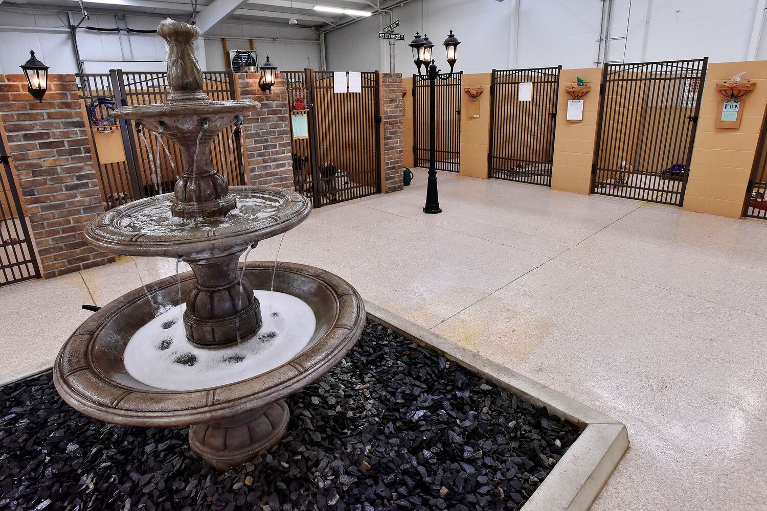 West Chester Pet Resort