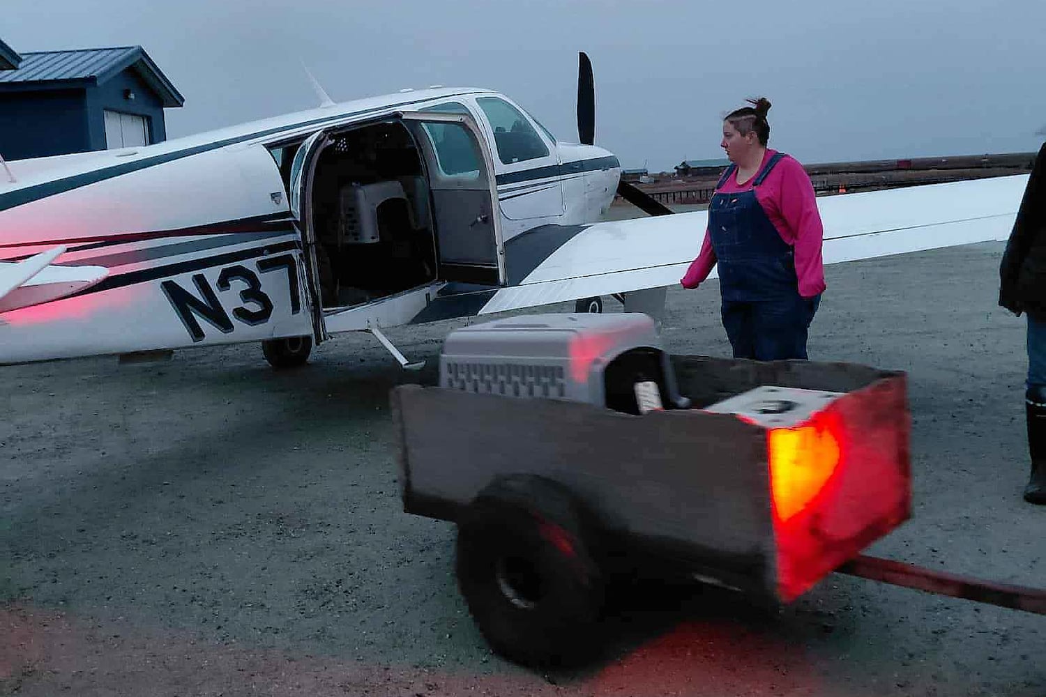 US Extreme Weather Alaska Typhoon Dog Evacuation 
