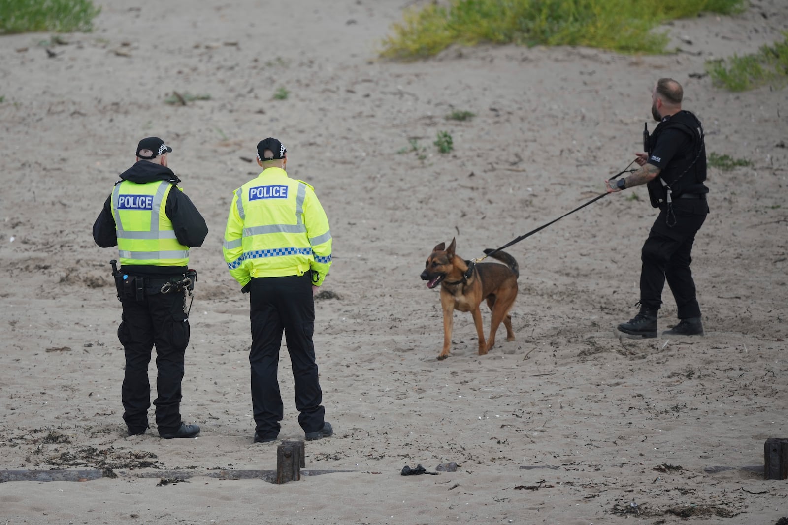 A police dog handler walks his dog on the beach to help with security at the Trump Turnberry golf course in Turnberry, Scotland, Friday, July 25, 2025, ahead of President Trump's visit Scotland. (AP Photo/Alastair Grant)
