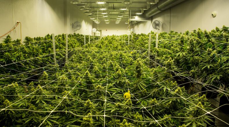 Cresco Labs LLC owns and operates medical marijuana facilities in Illinois, Pennsylvania and Puerto Rico. Contributed photo