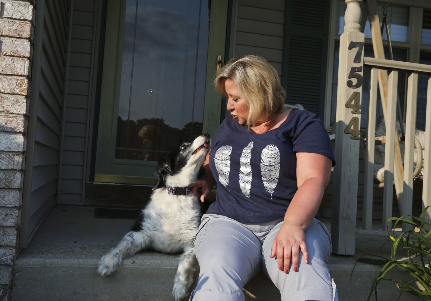 News hounds (7/9/15)