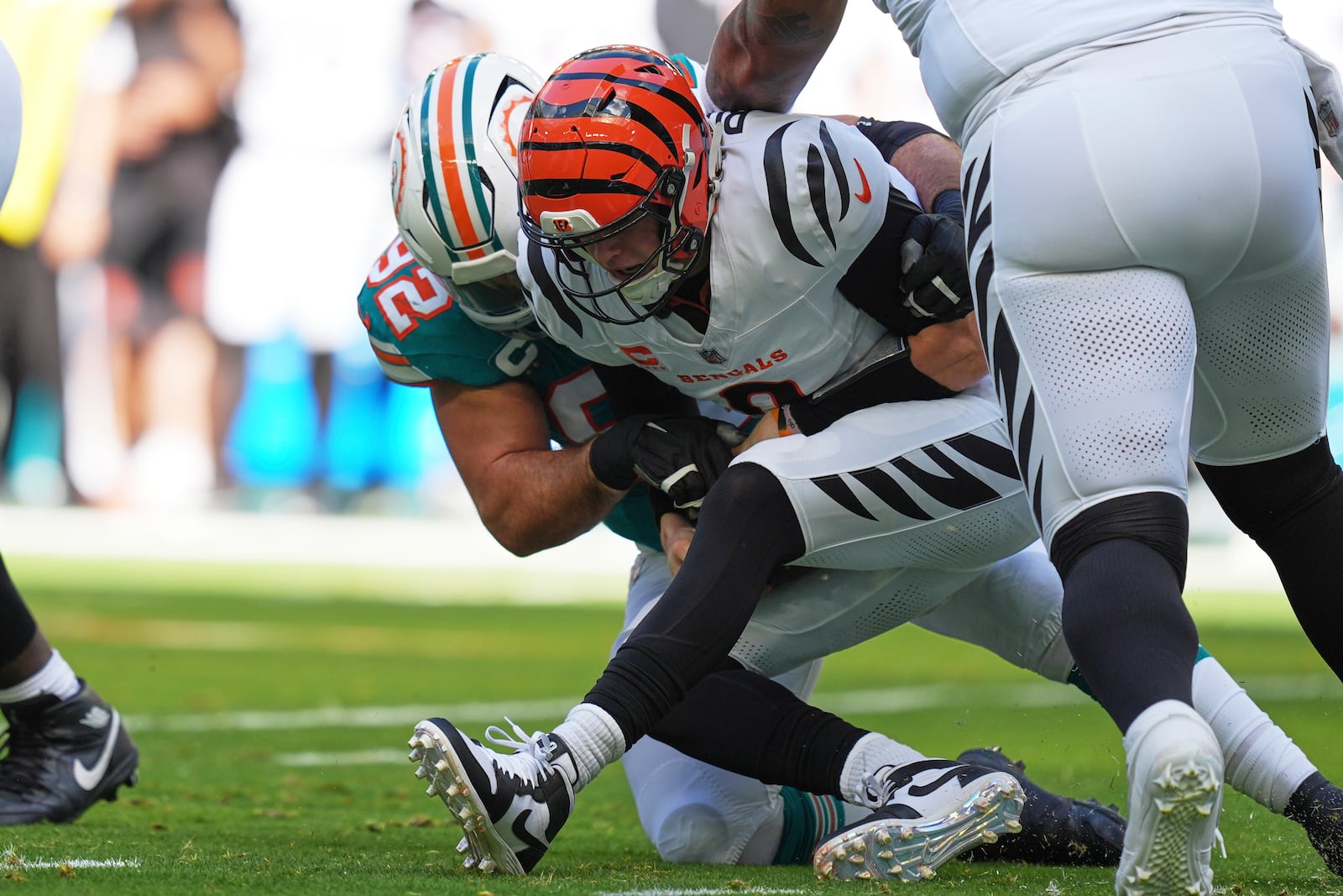 Miami Dolphins defensive tackle Zach Sieler sacks Cincinnati Bengals quarterback Joe Burrow during the first half of an NFL football game, Sunday, Dec. 21, 2025, in Miami Gardens, Fla. (AP Photo/Rebecca Blackwell)