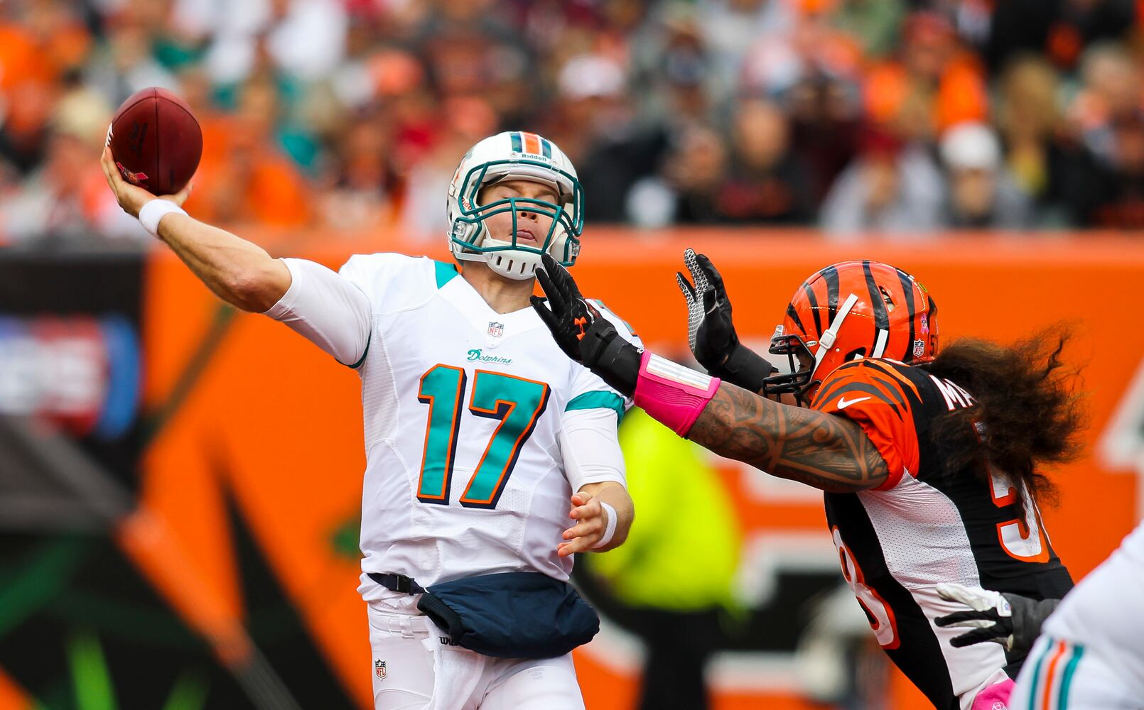 Bengals vs. Dolphins
