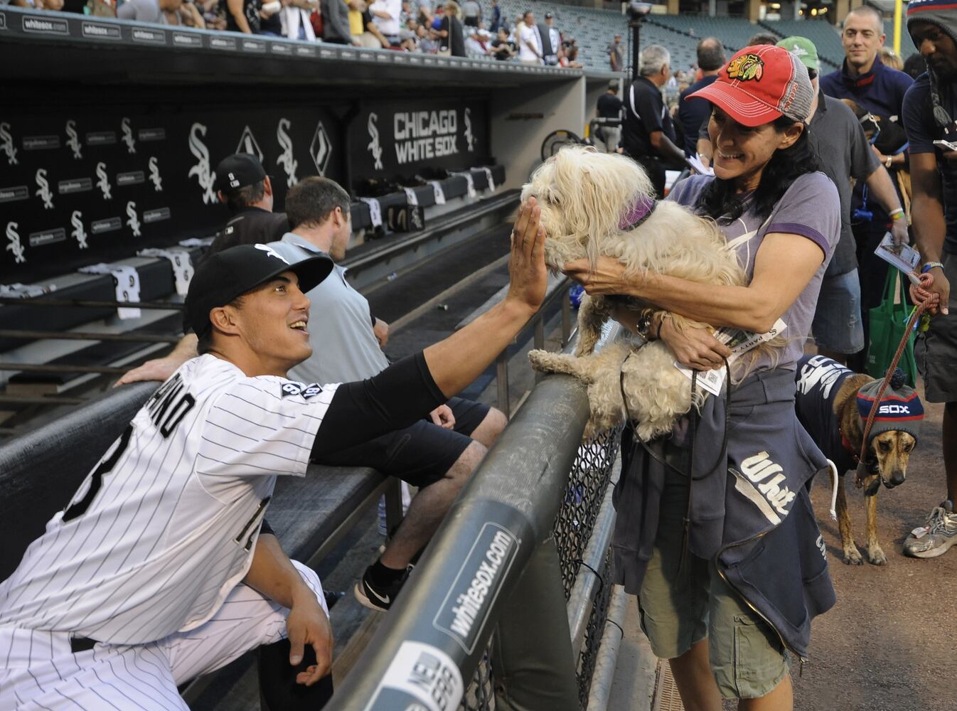 News hounds (9/17/15)