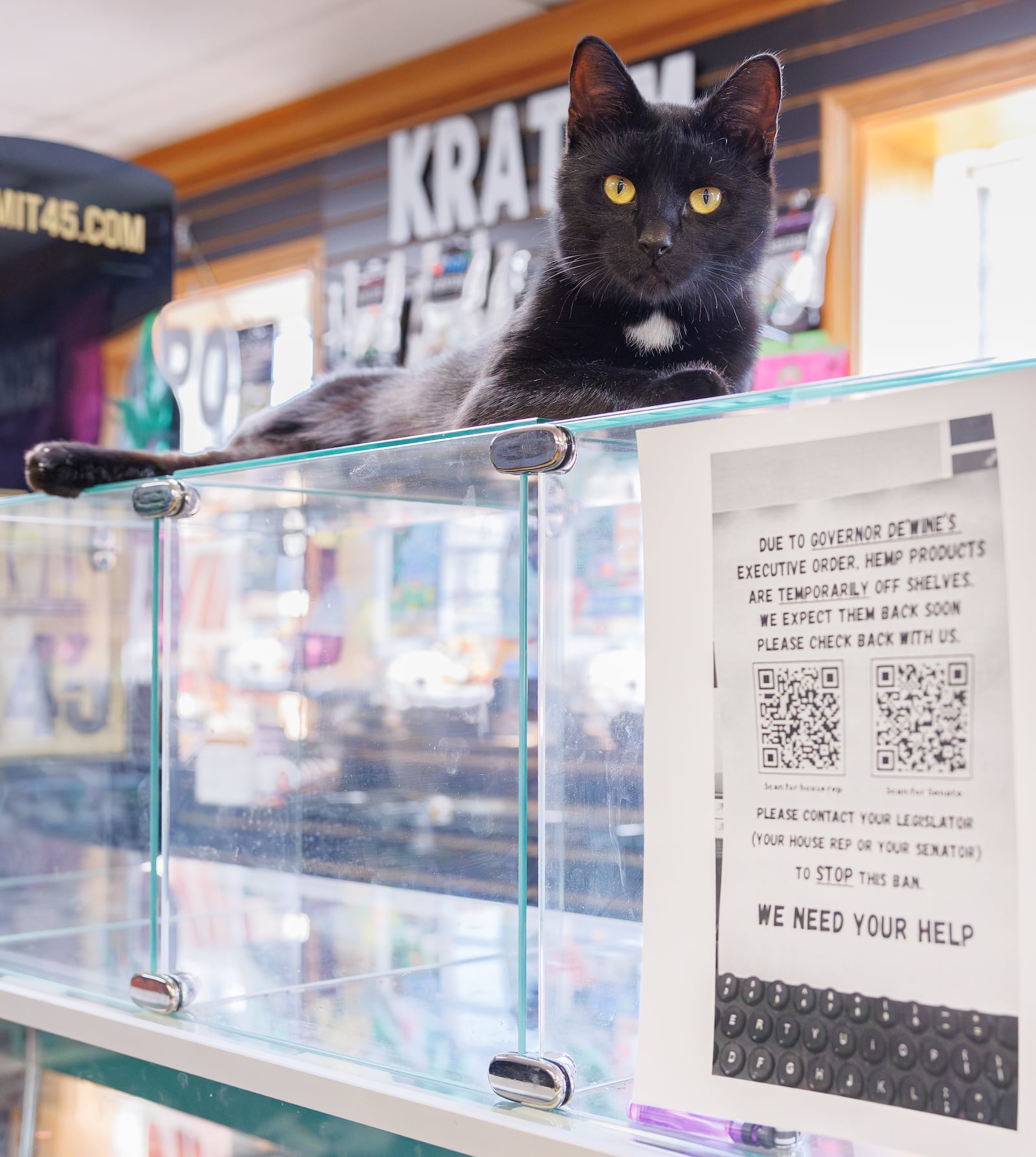 Tuxedo, the store cat at VIP Smoke Shop in Trotwood, lays on top of an empty case in the store on Tuesday, Oct. 14. Employees removed products from the case ahead of Gov. Mike DeWine's 90-day ban on intoxicating hemp-derived THC products, which went into effect on Tuesday. The store posted signs encouraging customers to contact legislators to stop the ban. BRYANT BILLING / STAFF