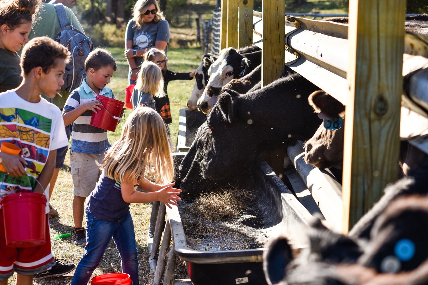 Jackson Family Farm offers visitors a chance to learn about farm life