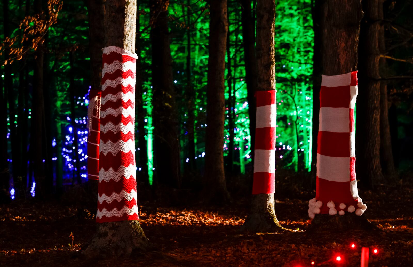 The 2022 “Journey Borealis: A Journey to the North Pole” drive through holiday light display will run through New Year’s Day at Pyramid Hill Sculpture Park & Museum. Tuesdays are free for Hamilton residents. Regular admission prices per carload for Journey Borealis are $15 every night for Pyramid Hill members. Non-members are $25 per carload. For more details, or to purchase a membership, visit www.journeyborealis.com. NICK GRAHAM/STAFF