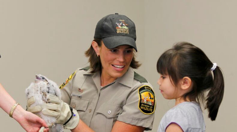 Wildlife biologists from the Ohio Department of Natural Resource band two young Peregrine falcons on Monday, June 18, 2012. A female named Torpedo and a male named Apache hatched atop the Liberty Tower in downtown Dayton about three and half weeks ago.