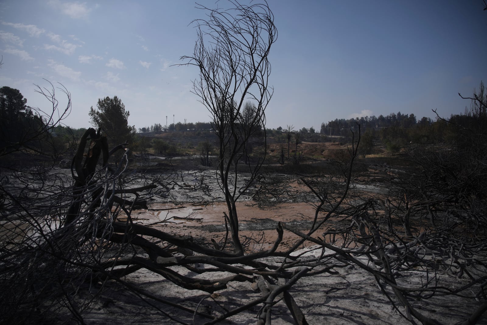 Trees and earth are scorched by a wildfire in Latrun, Israel, outside of Jerusalem, Thursday, May 1, 2025. (AP Photo/Ohad Zwigenberg)