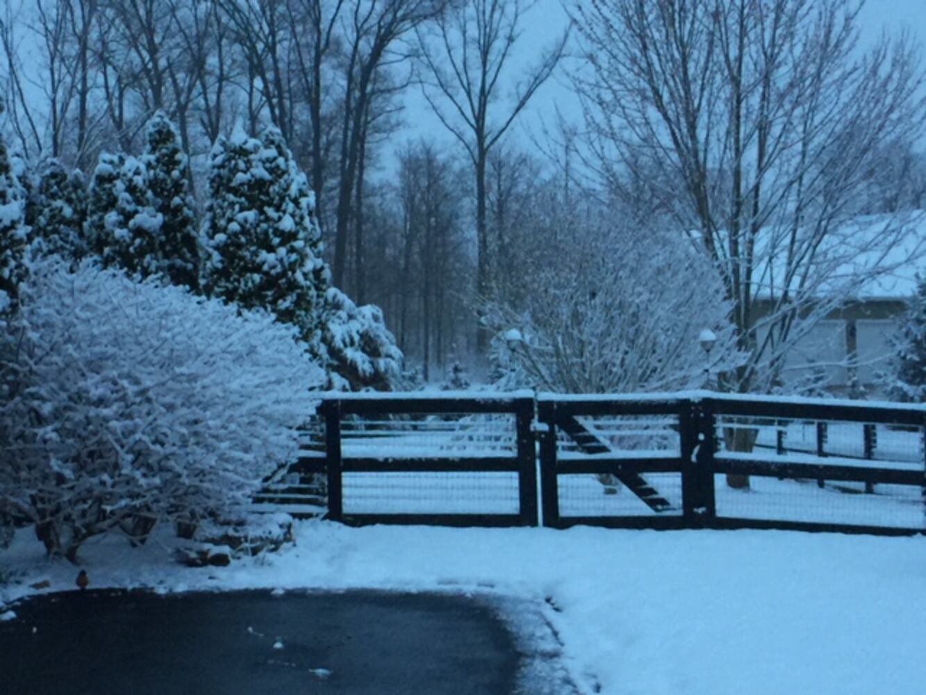 Snowstorm hits area on first day of spring